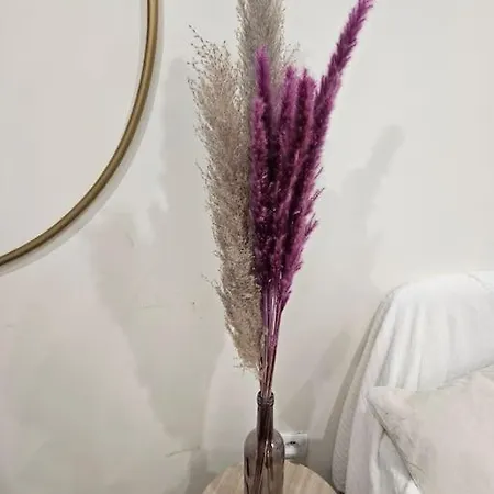 2 Pieces En Souplex Apartamento *